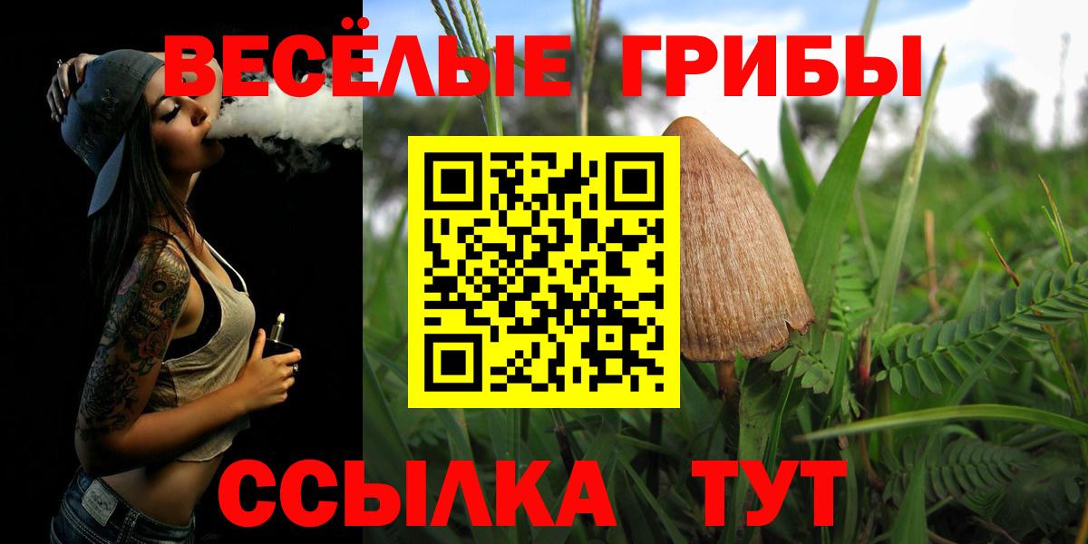 Кинель  что такое   Вход с VPN  Псилоцибиновые грибы прущие грибы 